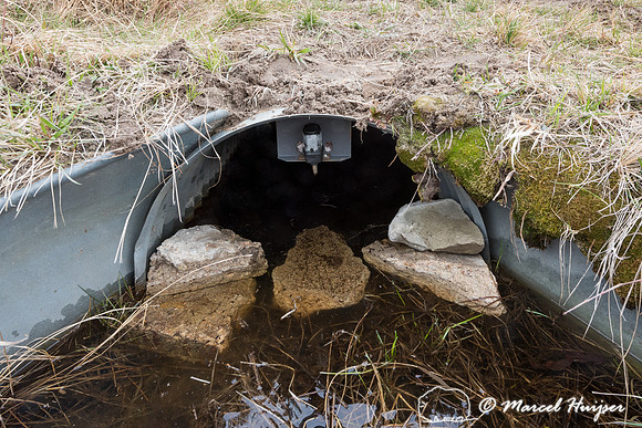Camera and rock ramp in culvert to record turtles