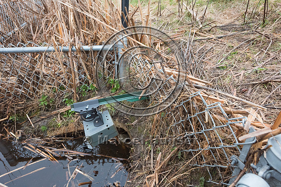 Camera and rock ramp in culvert to record turtles