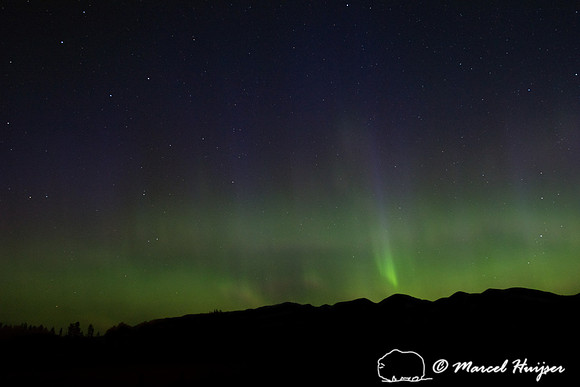 Aurora Borealis (northern lights), Montana, USA
