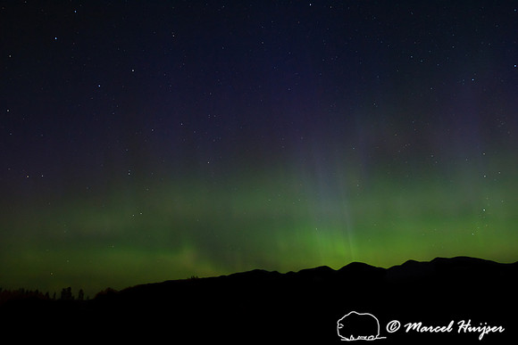 Aurora Borealis (northern lights), Montana, USA