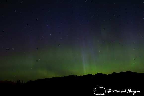 Aurora Borealis (northern lights), Montana, USA