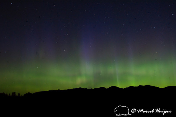 Aurora Borealis (northern lights), Montana, USA