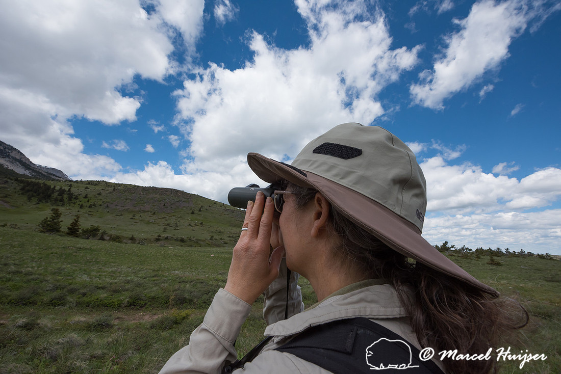 Bethanie Walder looking for wildlife, Montana, USA