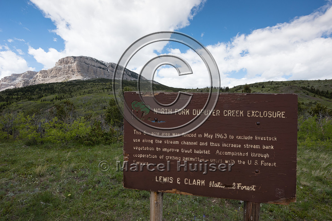 Fence to protect riparian area along a creek, Montana, USA