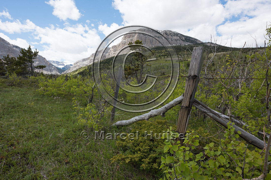 Fence to protect riparian area along a creek, Montana, USA