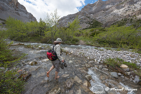 Bethanie Walder hiking, Montana, USA