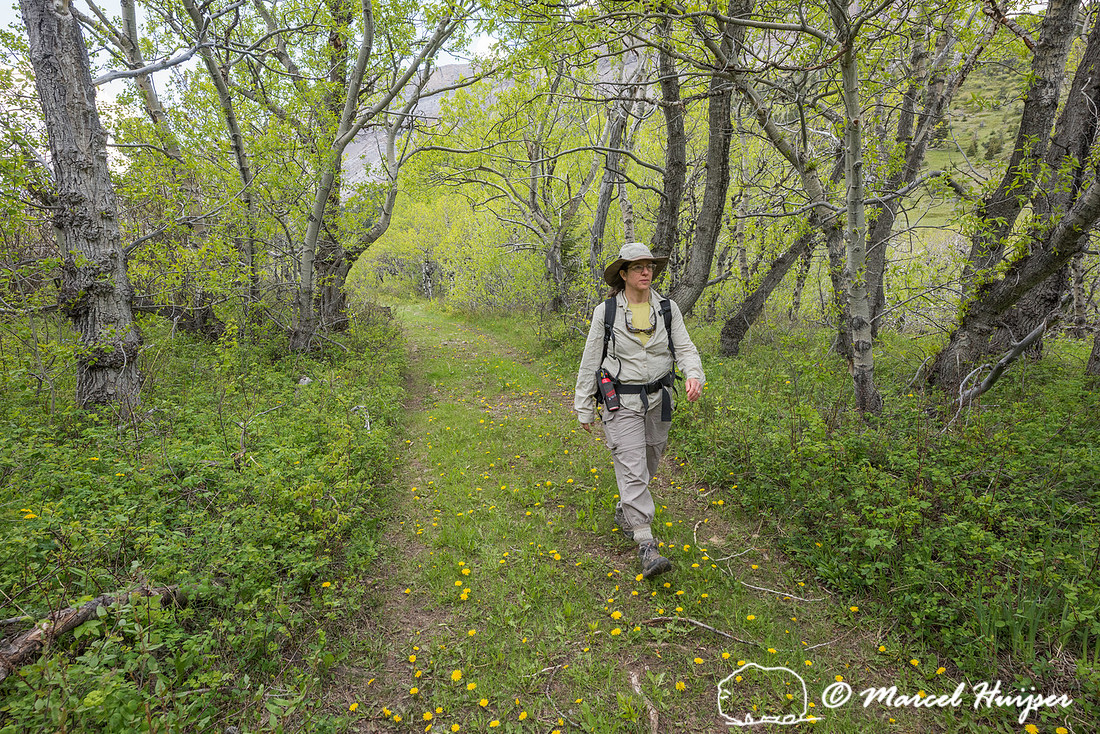 Bethanie Walder hiking, Montana, USA