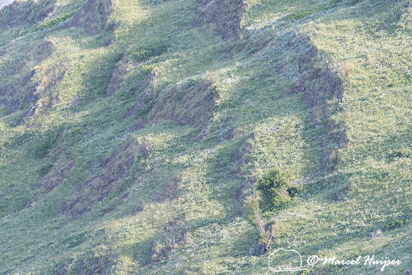 Rocky ridges, National Bison Range, Montana, USA