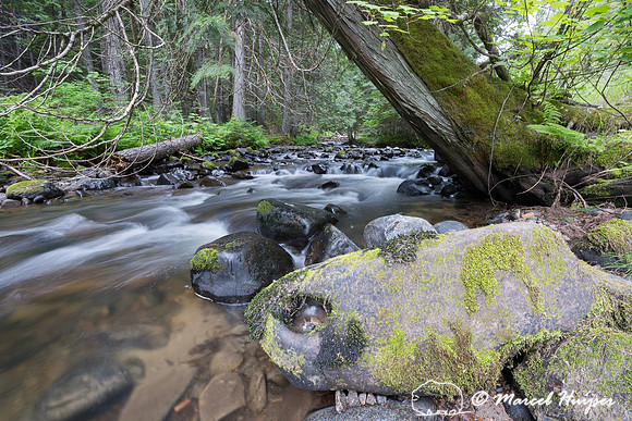 Meadow Creek, Moyie Springs, Idaho