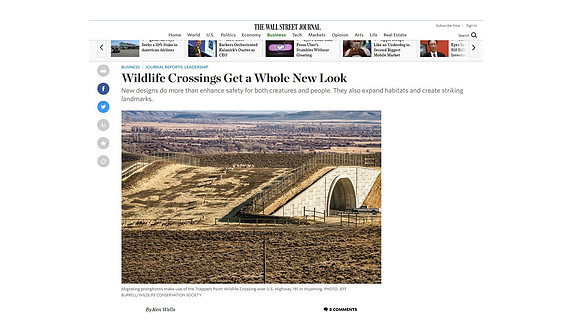 Wall Street Journal 20 June 2017