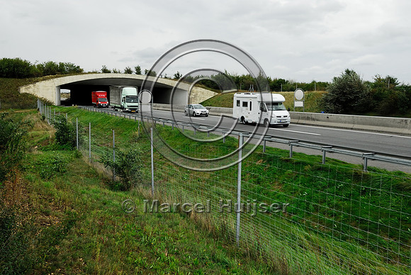 Multifunctional overpass (wildlife, bicyclists, pedestrians; about 100 m wide), across A4 motorway, Parndorf, Austria