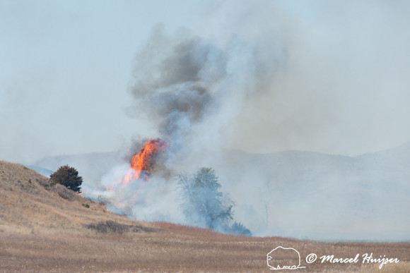 Prescribed grassland and wetland fire, Valentine National Wildli