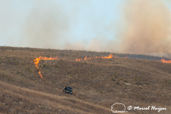 Prescribed grassland and wetland fire, Valentine National Wildli