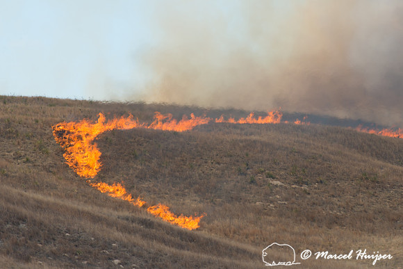 Prescribed grassland and wetland fire, Valentine National Wildli