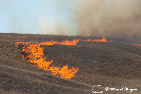 Prescribed grassland and wetland fire, Valentine National Wildli