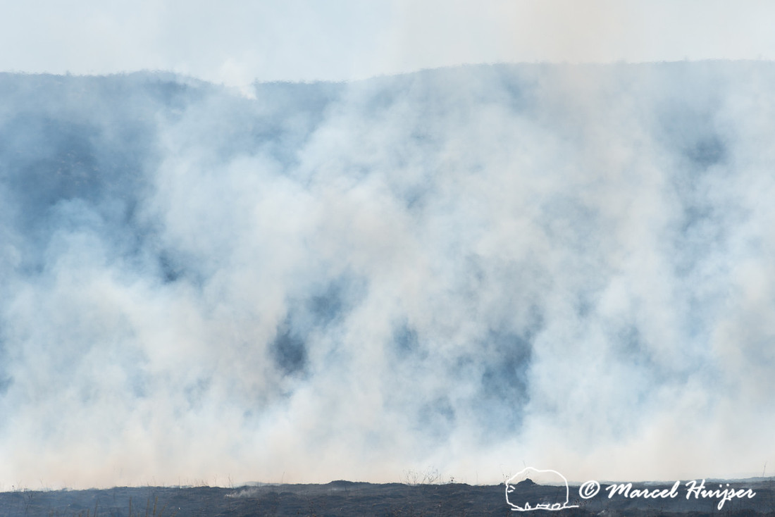 Prescribed grassland and wetland fire, Valentine National Wildli