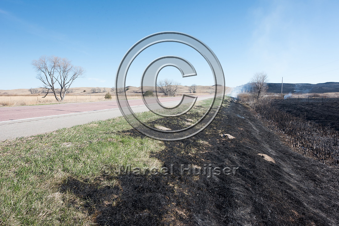 Prescribed grassland and wetland fire, Valentine National Wildli
