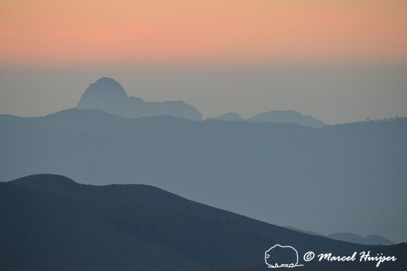 Atlantic forest at sunrise, near Parque Nacional da Serra da Bocaina, São Paulo, Brazil