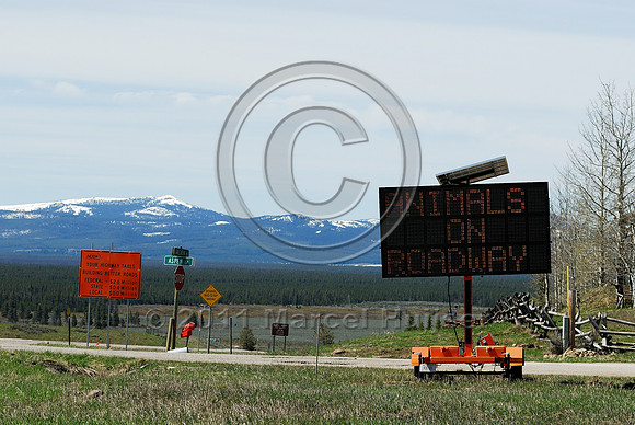 Animals on roadway, Next 10 miles, Use caution, variable message sign, US Hwy 191, West Yellowstone, MT