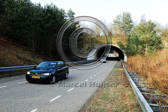 Ecoduct Woeste Hoeve A50 near Apeldoorn, The Netherlands