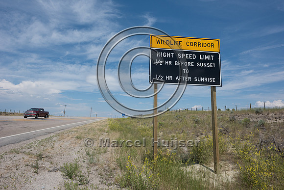 Wildlife warning sign, Wildlife corridor, Night speed limit, 1/2