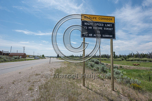 Wildlife warning sign, Wildlife corridor, Night speed limit, 1/2