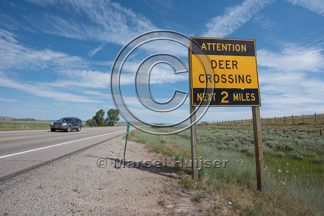 Wildlife warning sign, Attention, Deer Crossing, Next 2 miles, W