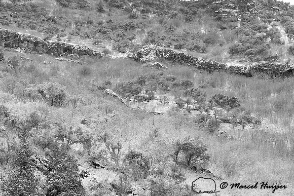 Mill Creek Canyon, Salt Lake City, Utah, USA