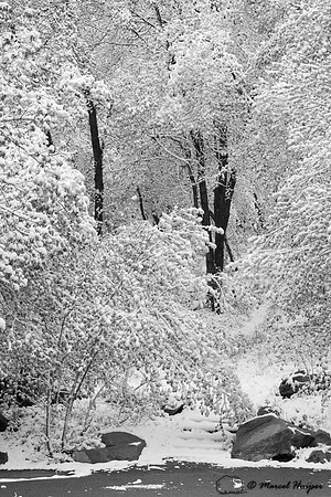 Mill Creek Canyon, Salt Lake City, Utah, USA