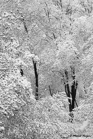 Mill Creek Canyon, Salt Lake City, Utah, USA