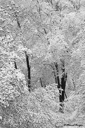 Mill Creek Canyon, Salt Lake City, Utah, USA