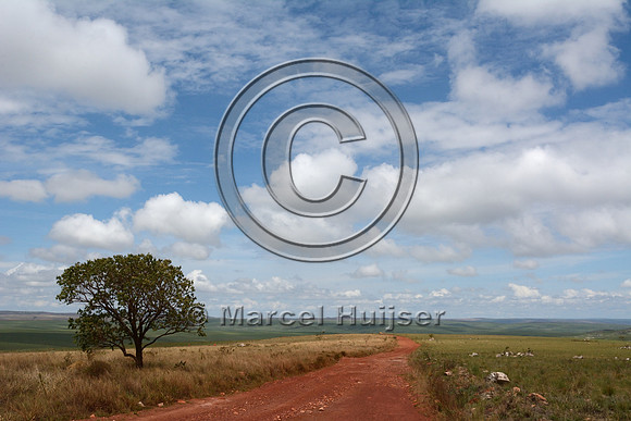 Burnt area (right), the dirt road that served as a fire break, and unburnt vegetation (left), Parque Nacional da Serra da Canastra, Minas Gerais, Brazil