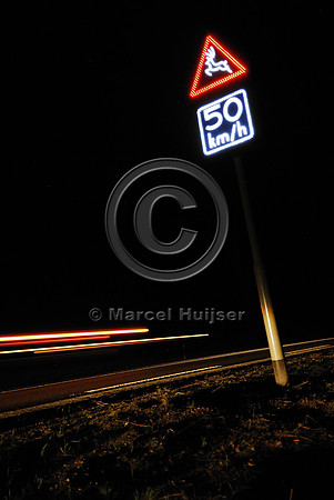Animal detection system at night, Harderwijk, The Netherlands