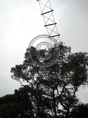 Note: image has relatively low resolution. Arboreal overpass for howler monkeys and sloths across a road bordering the zoo, Parque Zoologico de Sao Paulo, Av. Miguel Stéfano, São Paulo, Brazil