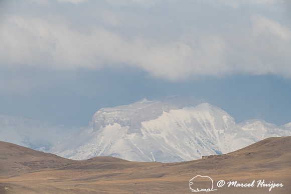 Rocky Mountain front, Freezout Lake Wildlife Management Area, Mo