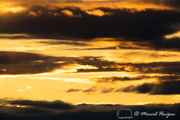 SunrSunrise, Freezout Lake Wildlife Management Area, Montana