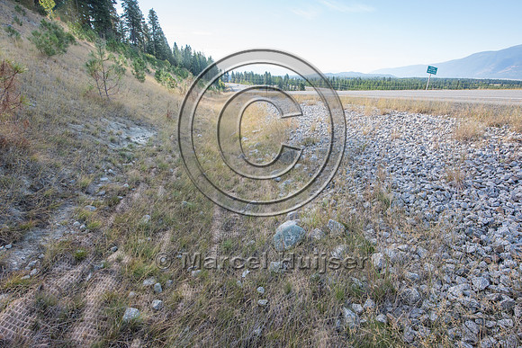 Anti-erosion plastic netting, US Hwy 95, Bonners Ferry, Idaho, U