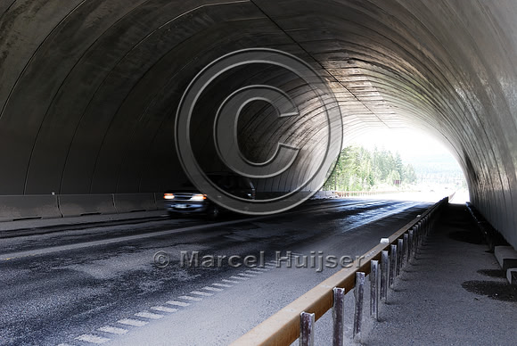 Underneath wildlife overpas US Hwy 93, MT