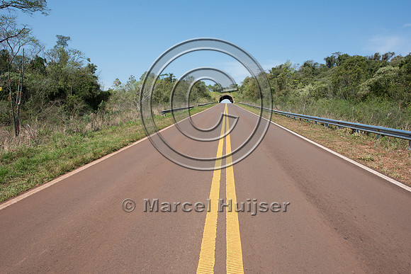 Wildlife overpass, Ruta 101, Misiones, Argentina