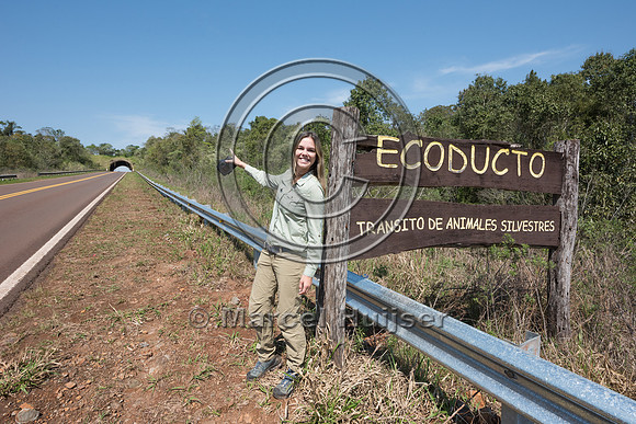 Fernanda Abra at wildlife overpass, Ruta 101, Misiones, Argentin