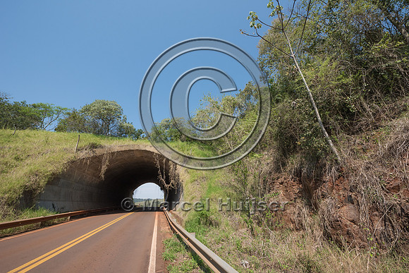 Wildlife overpass, Ruta 101, Misiones, Argentina