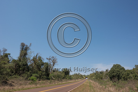 Wildlife overpass, Ruta 101, Misiones, Argentina