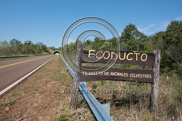 Wildlife overpass, Ruta 101, Misiones, Argentina