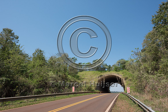Wildlife overpass, Ruta 101, Misiones, Argentina