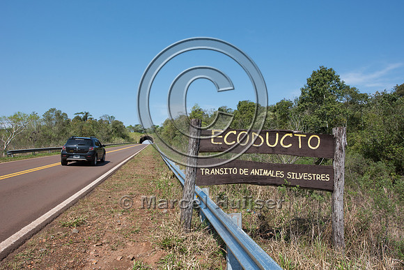 Wildlife overpass, Ruta 101, Misiones, Argentina