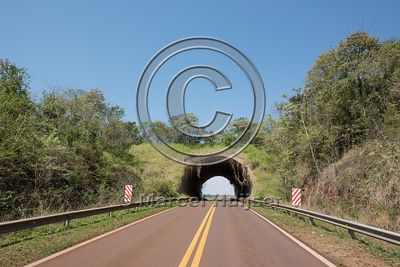 Wildlife overpass, Ruta 101, Misiones, Argentina