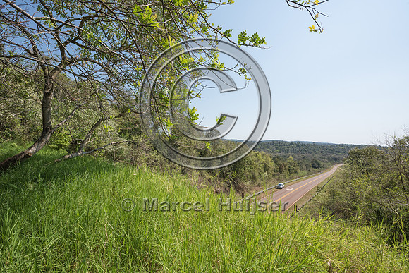 Wildlife overpass, Ruta 101, Misiones, Argentina