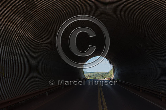 Wildlife overpass, Ruta 101, Misiones, Argentina
