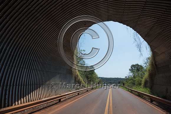 Wildlife overpass, Ruta 101, Misiones, Argentina
