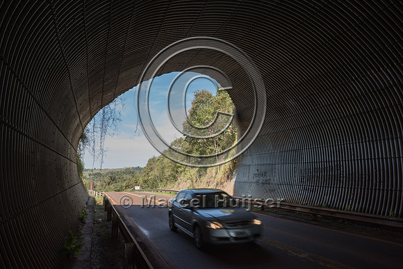 Wildlife overpass, Ruta 101, Misiones, Argentina